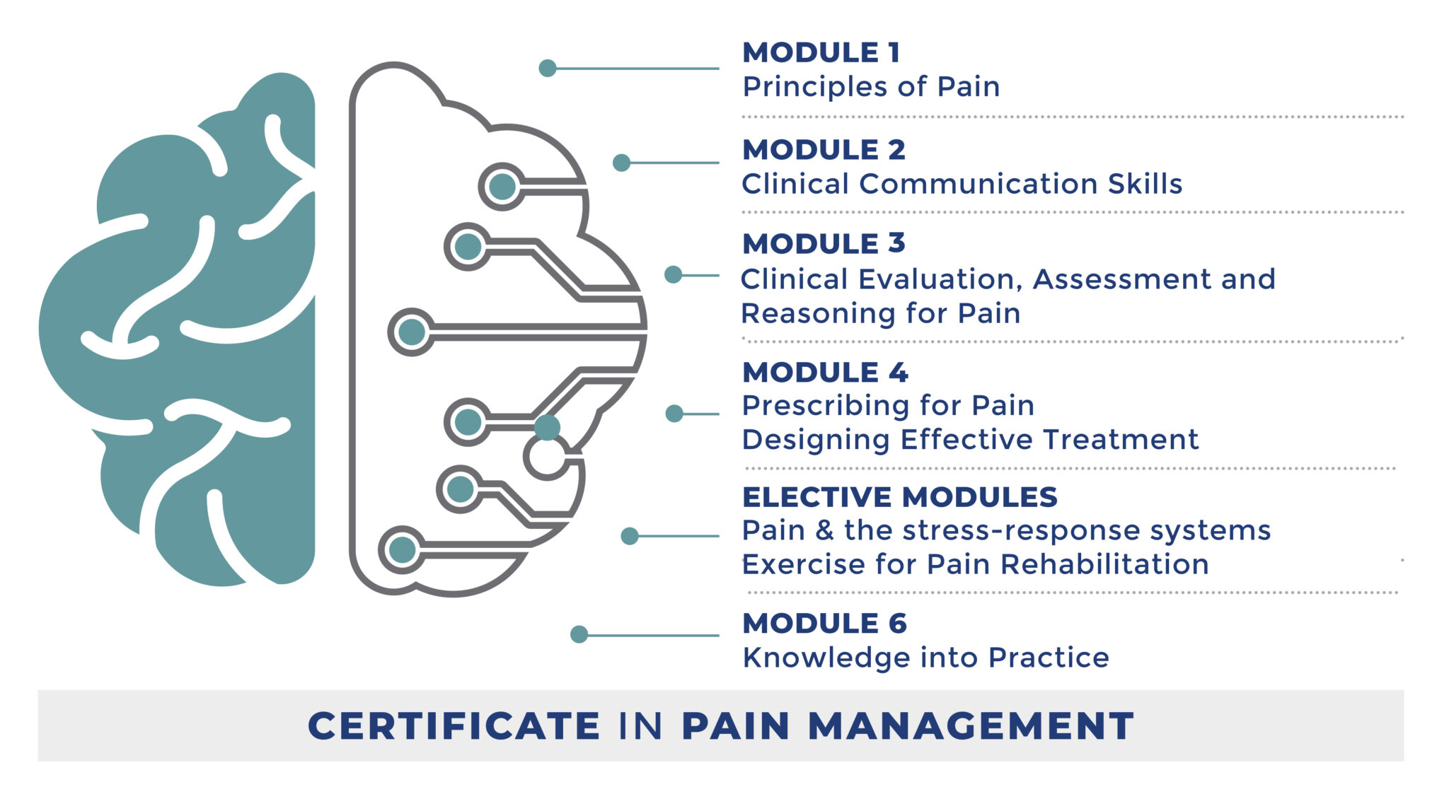 Train Pain Academy – Certificate in Pain Management